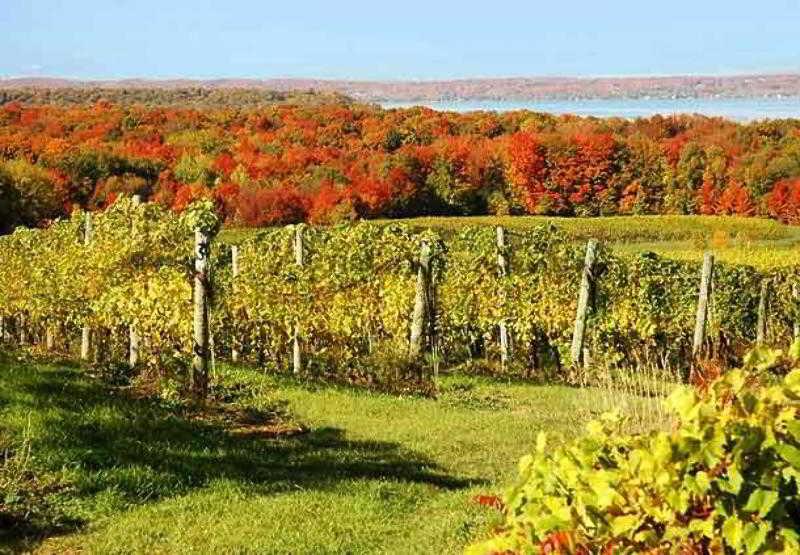 Fairfield Inn & Suites Traverse City Exteriör bild